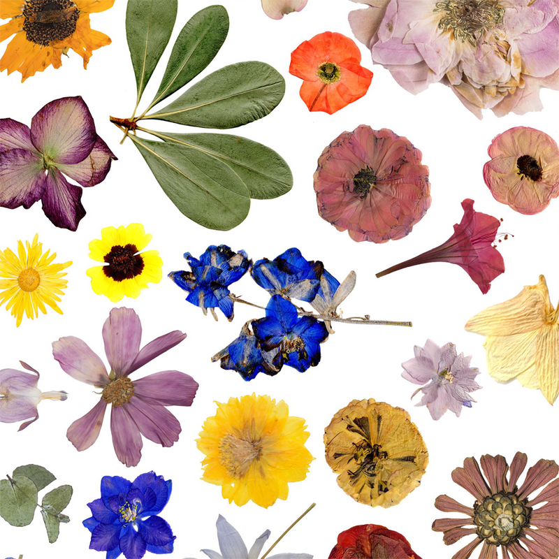 March Creative Craft Challenge!