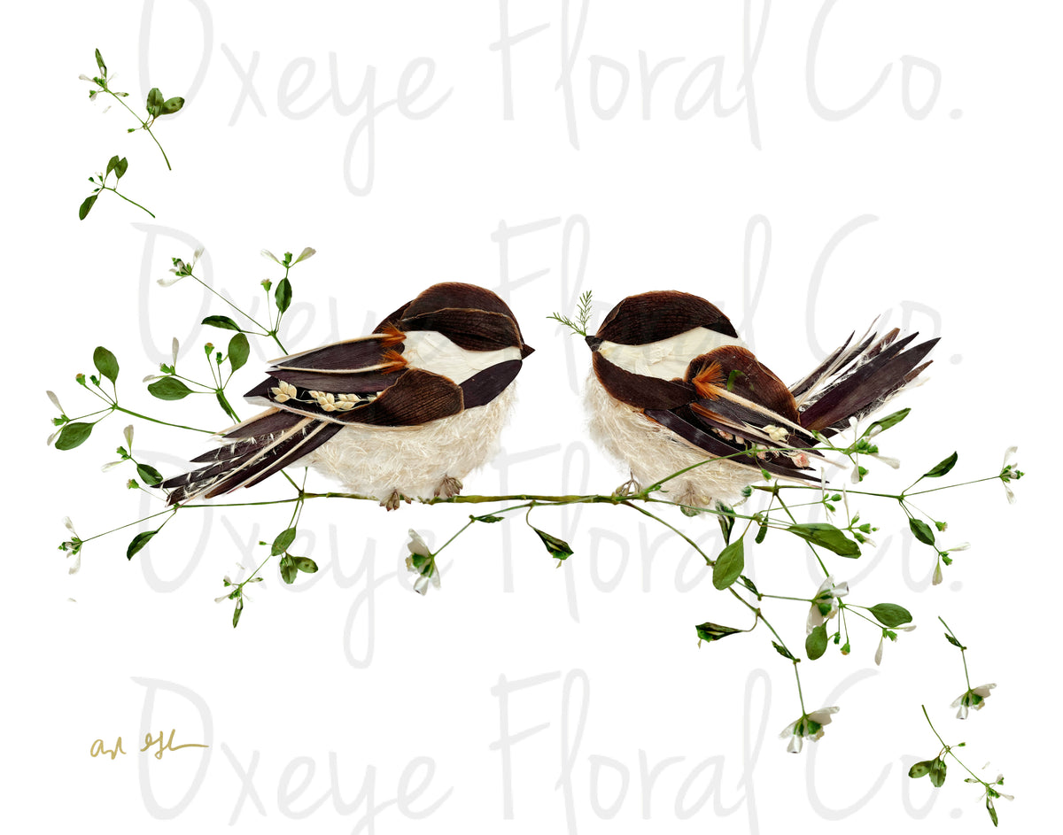 Chickadee Pair