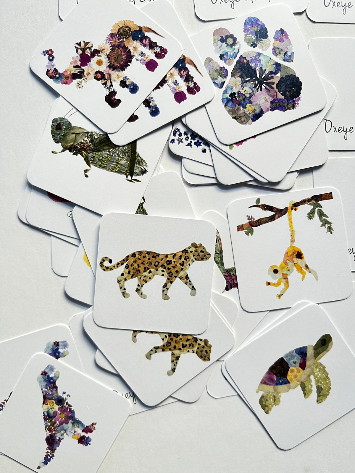 Set of cards with animal and floral designs on a white background
