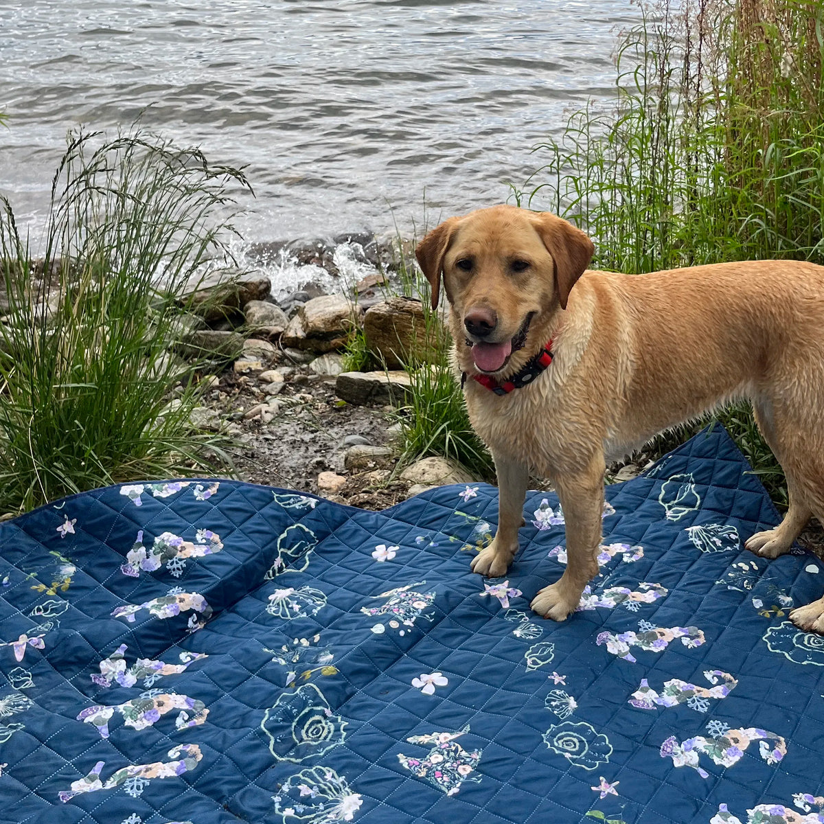 Dog standing on an Oxeye Floral Co floral-patterned blue blanket by a body of water.