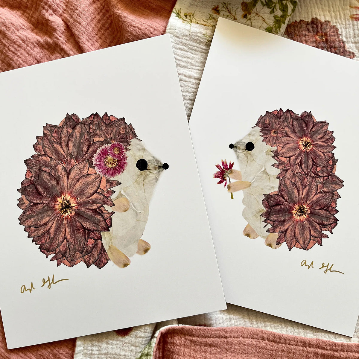 Hedgehogs
