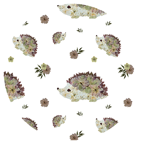 hedgehog pattern with pressed botanicals