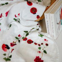 Ladybug swaddle with books