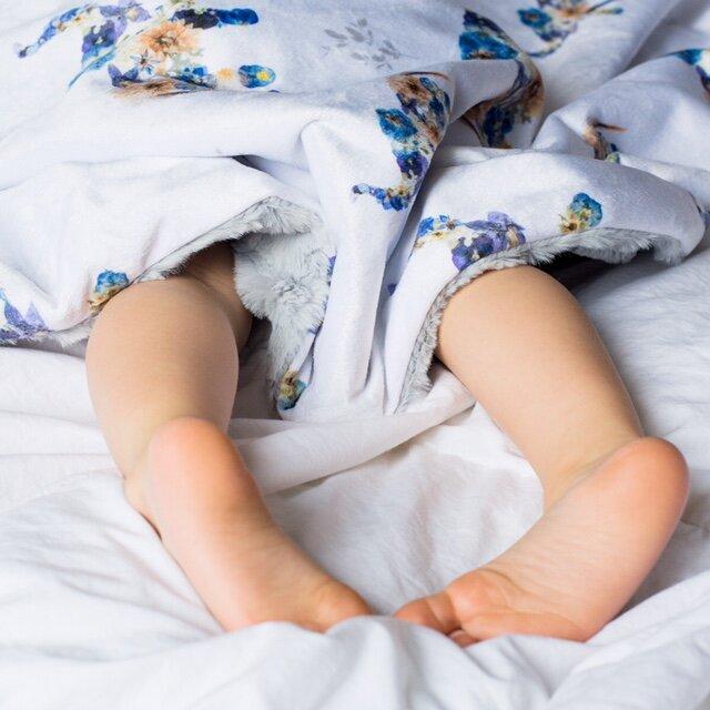 Blue Elephant Minky Baby Blanket