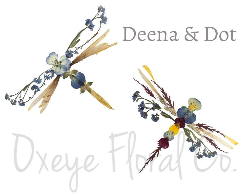 Dragonflies