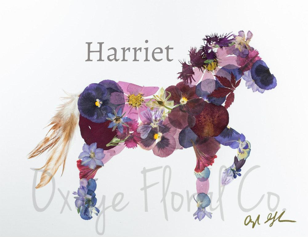 Pressed flower horse with feathers artwork