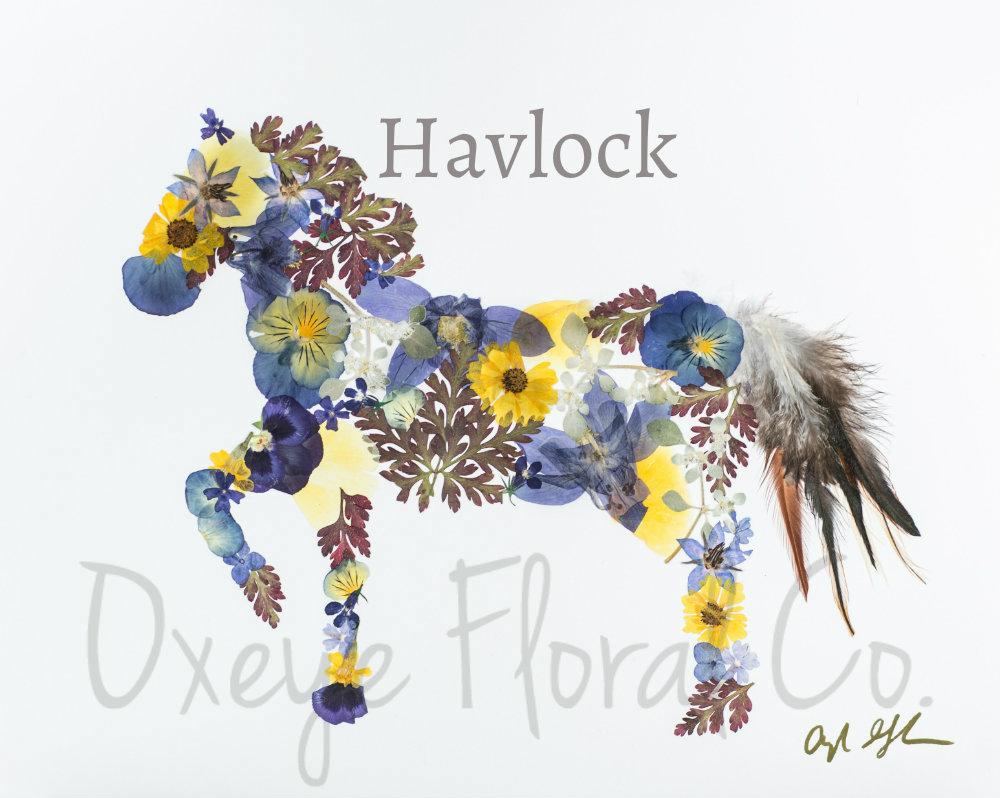 Pressed flower horse by Oxeye Floral Co