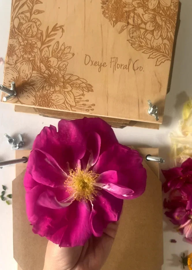 How to Tuesdays Ep 5: Pressing a Rose
