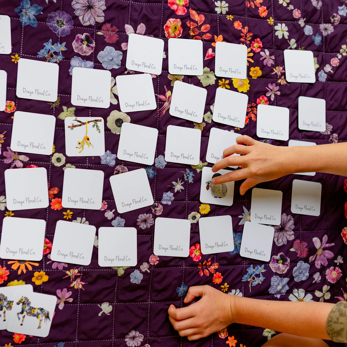 A person's hands arranging small white cards printed with 'Oxeye Floral Co.' on a purple floral quilted blanket.