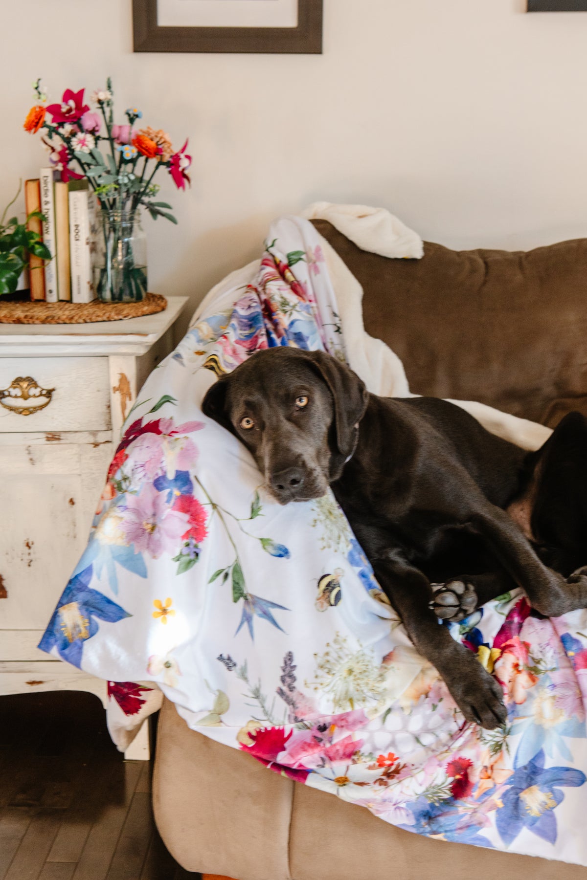 Dog lying on a floral blanket on a couch