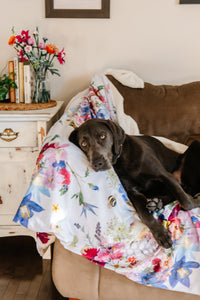 Dog lying on a floral blanket on a couch