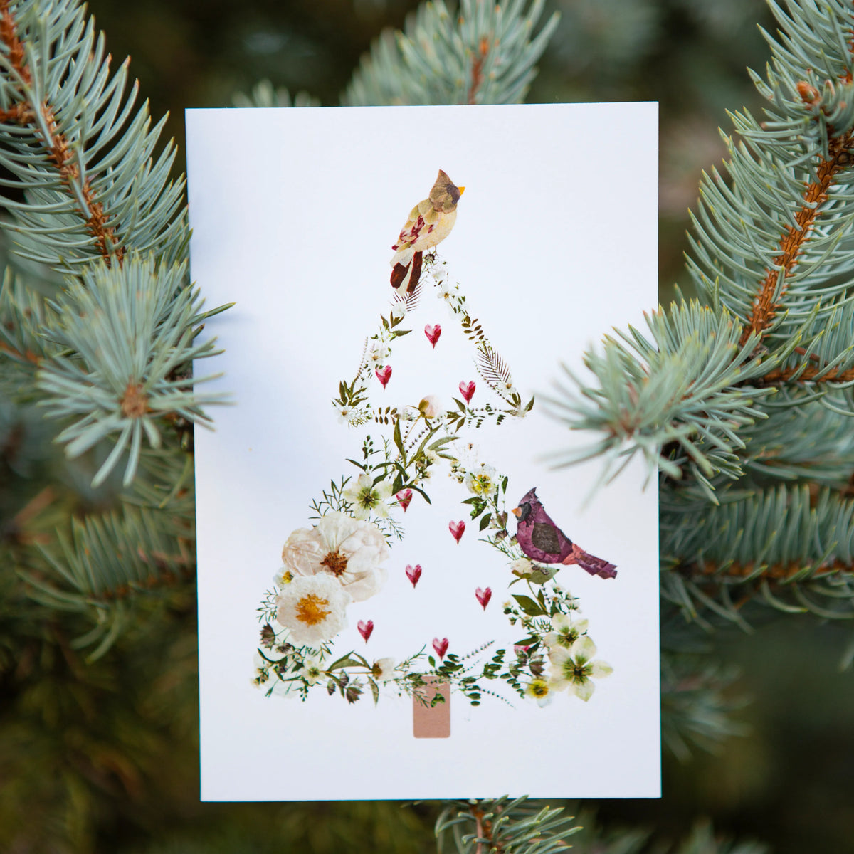 Cardinal Christmas Tree pressed flower card by Oxeye Floral Co