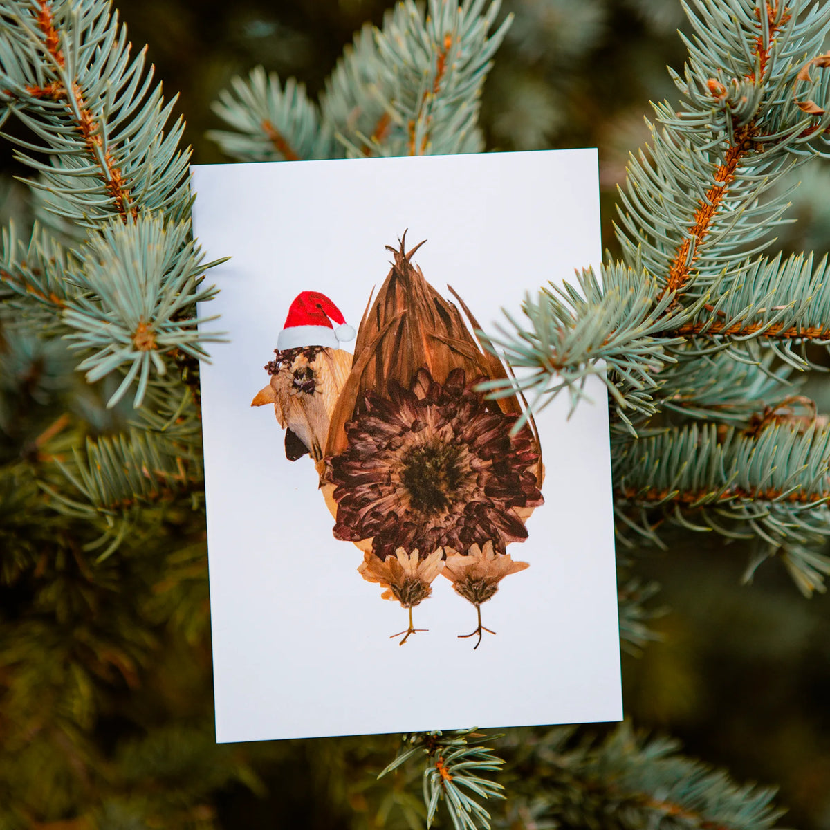 Christmas Chicken Butt Greeting Card by Oxeye Floral Co