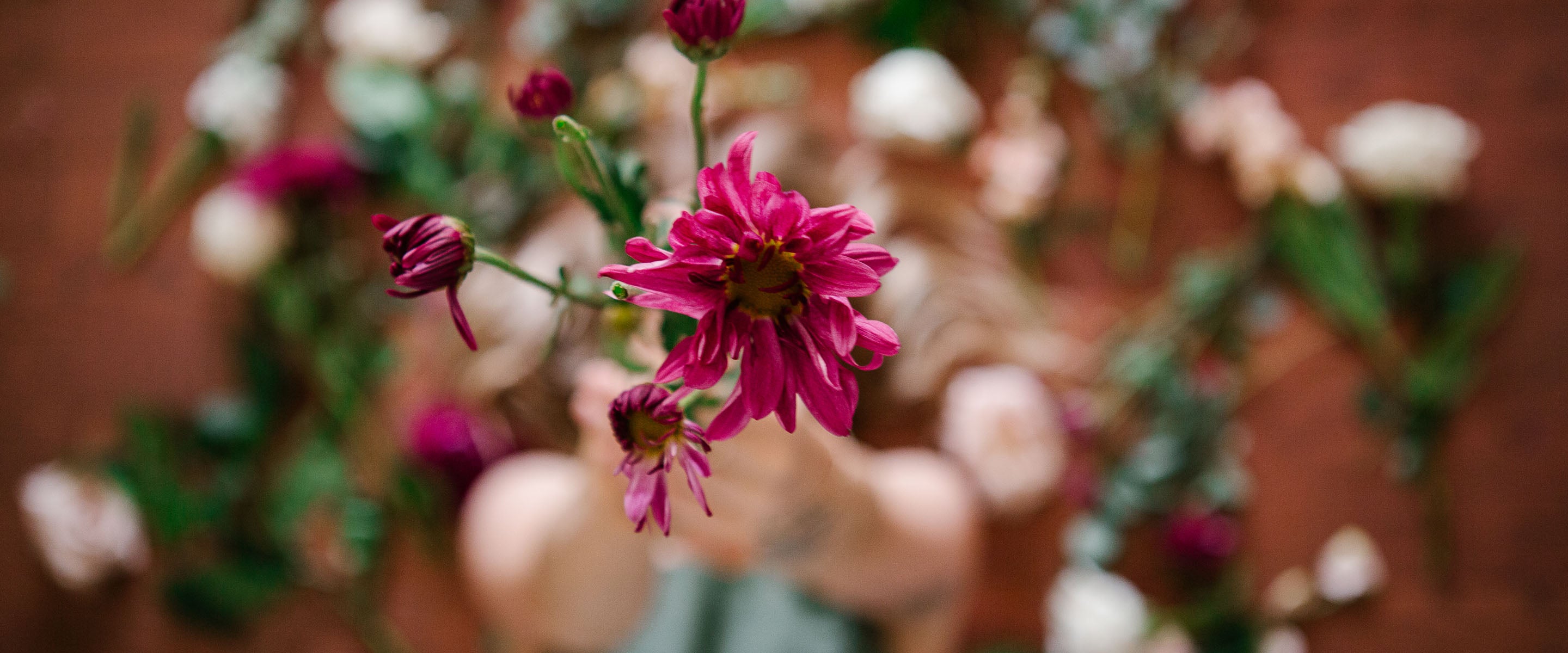 Photo of a flower being held up into focus by a woman