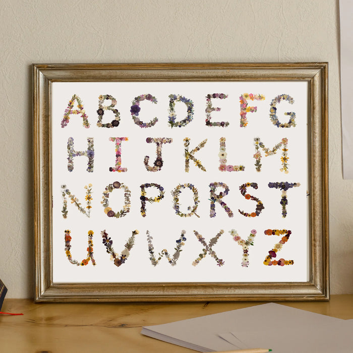 Alphabet