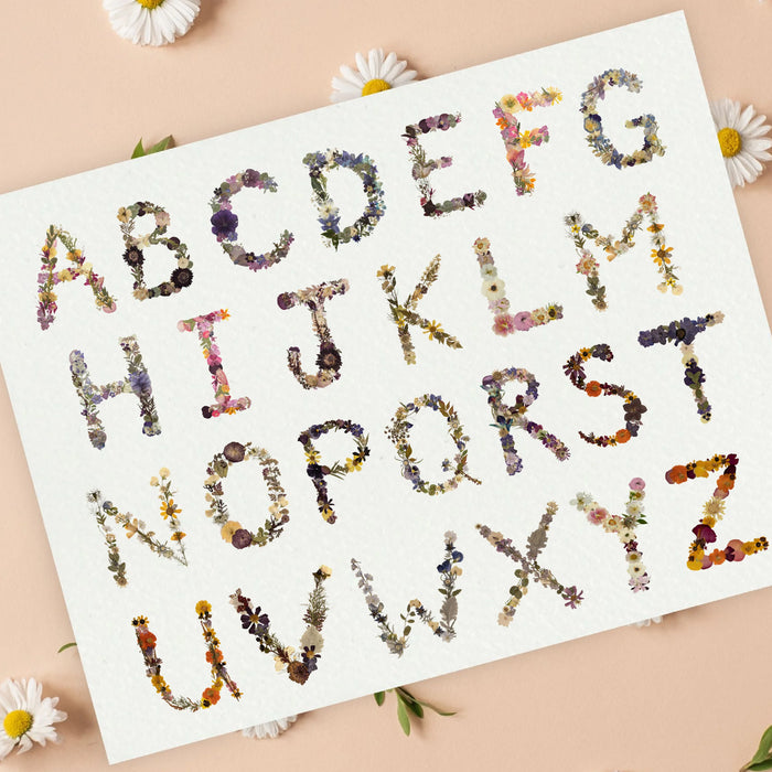 Alphabet