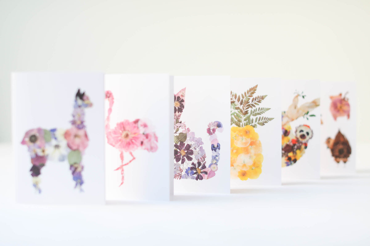 Pressed flower greeting cards by Oxeye Floral Co