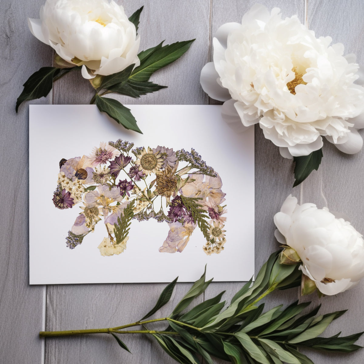 Dainty Bear Greeting Card