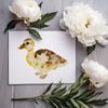 Duckling Greeting Card