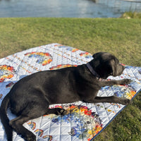 Black dog lying on a rainbow blanket in a grassy area with water in the background