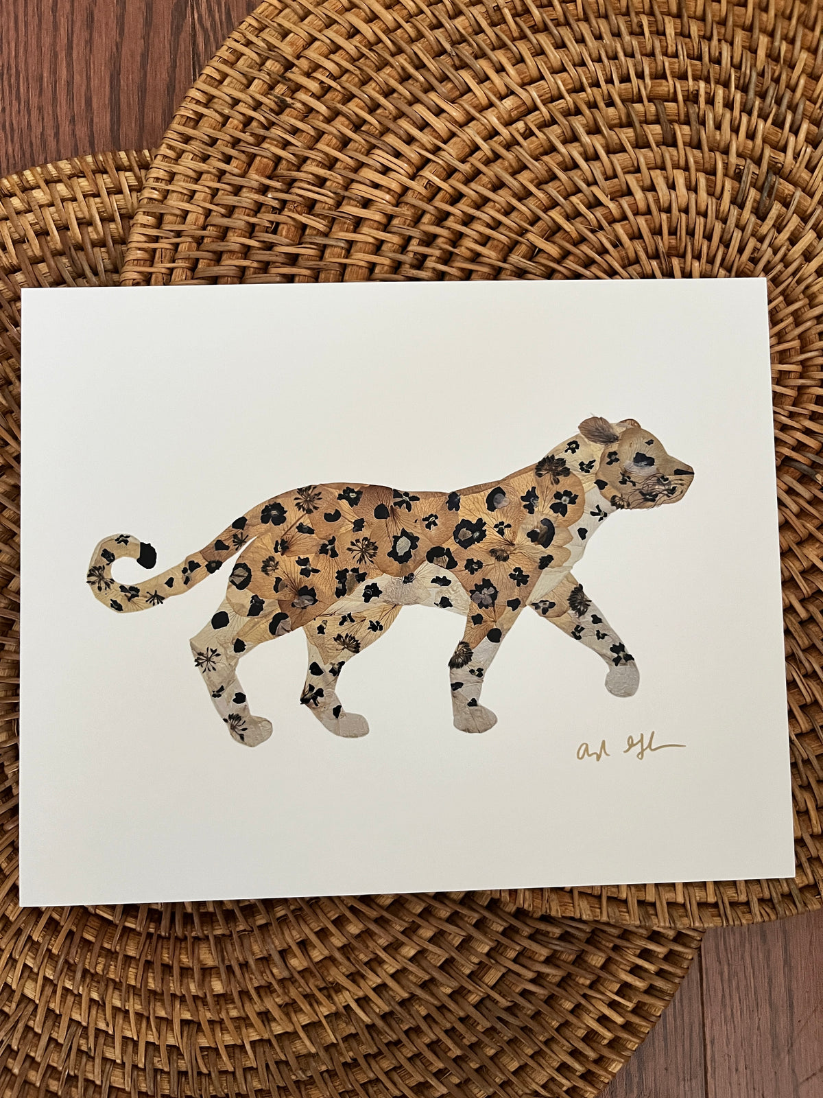 Leopard