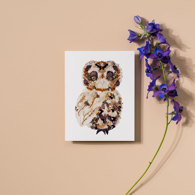 Owl Greeting Card