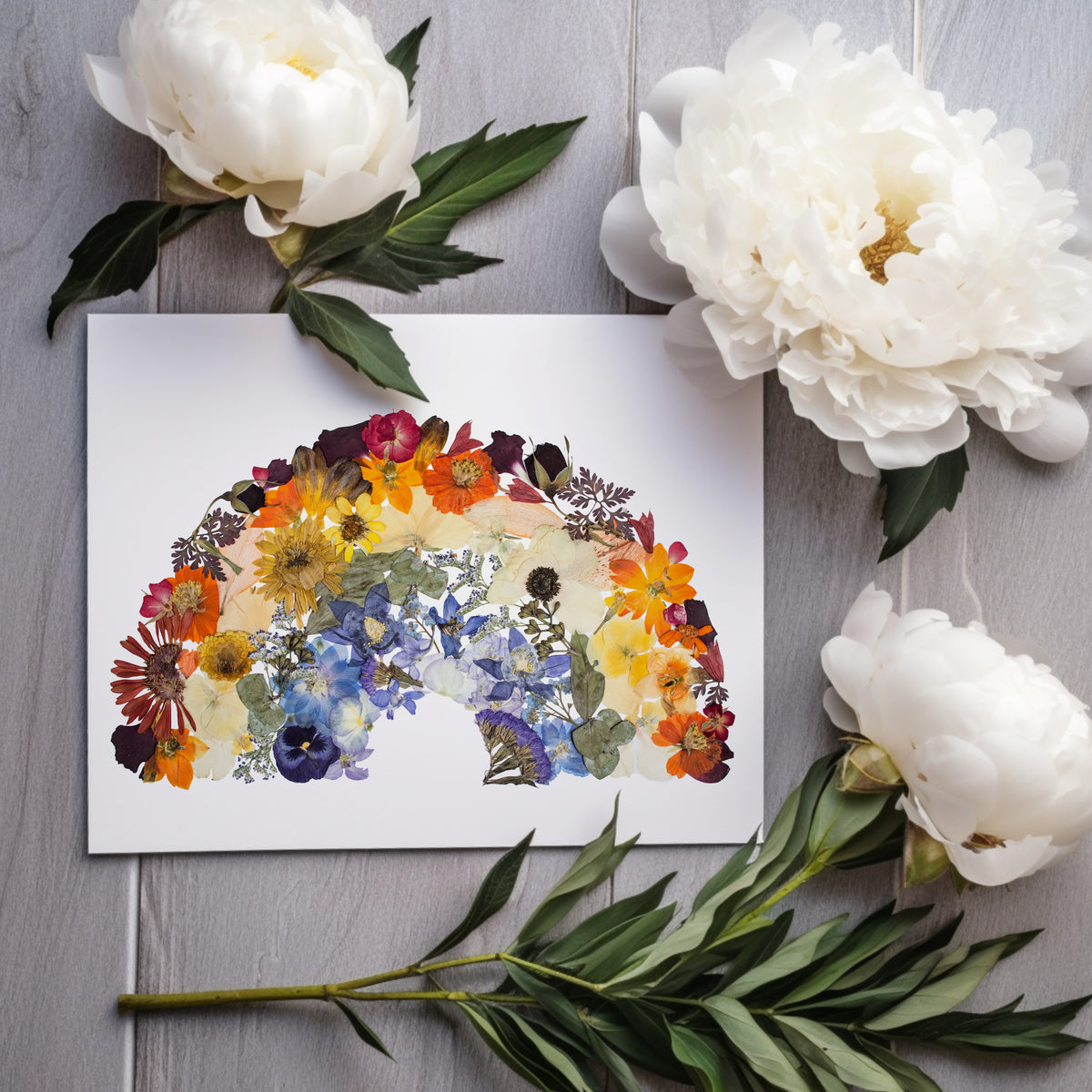 Pressed Flower Rainbow print by Oxeye Floral Co