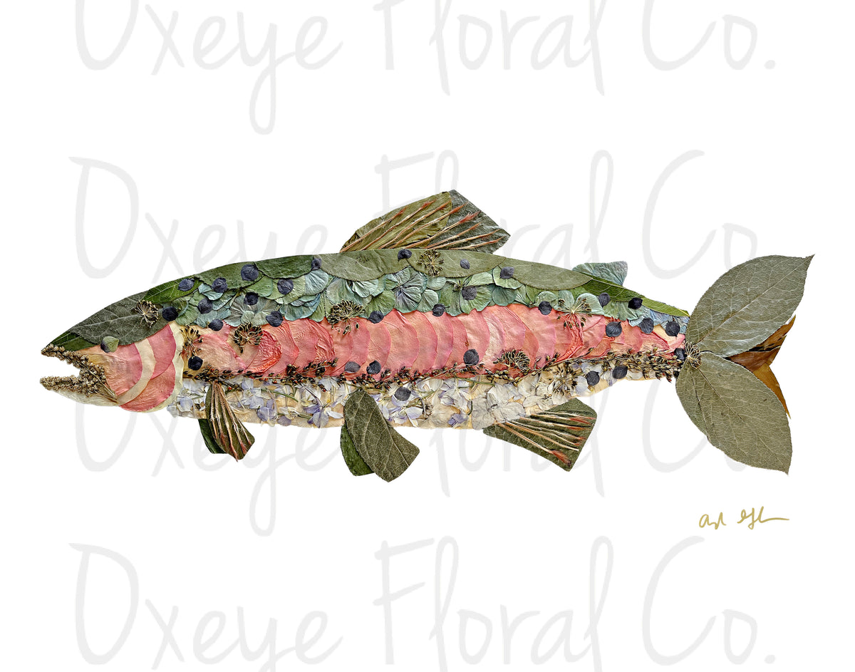 Rainbow Trout