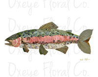 Rainbow Trout