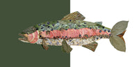 Trout Lumbar Pillow Cover