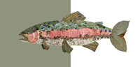 Trout Lumbar Pillow Cover