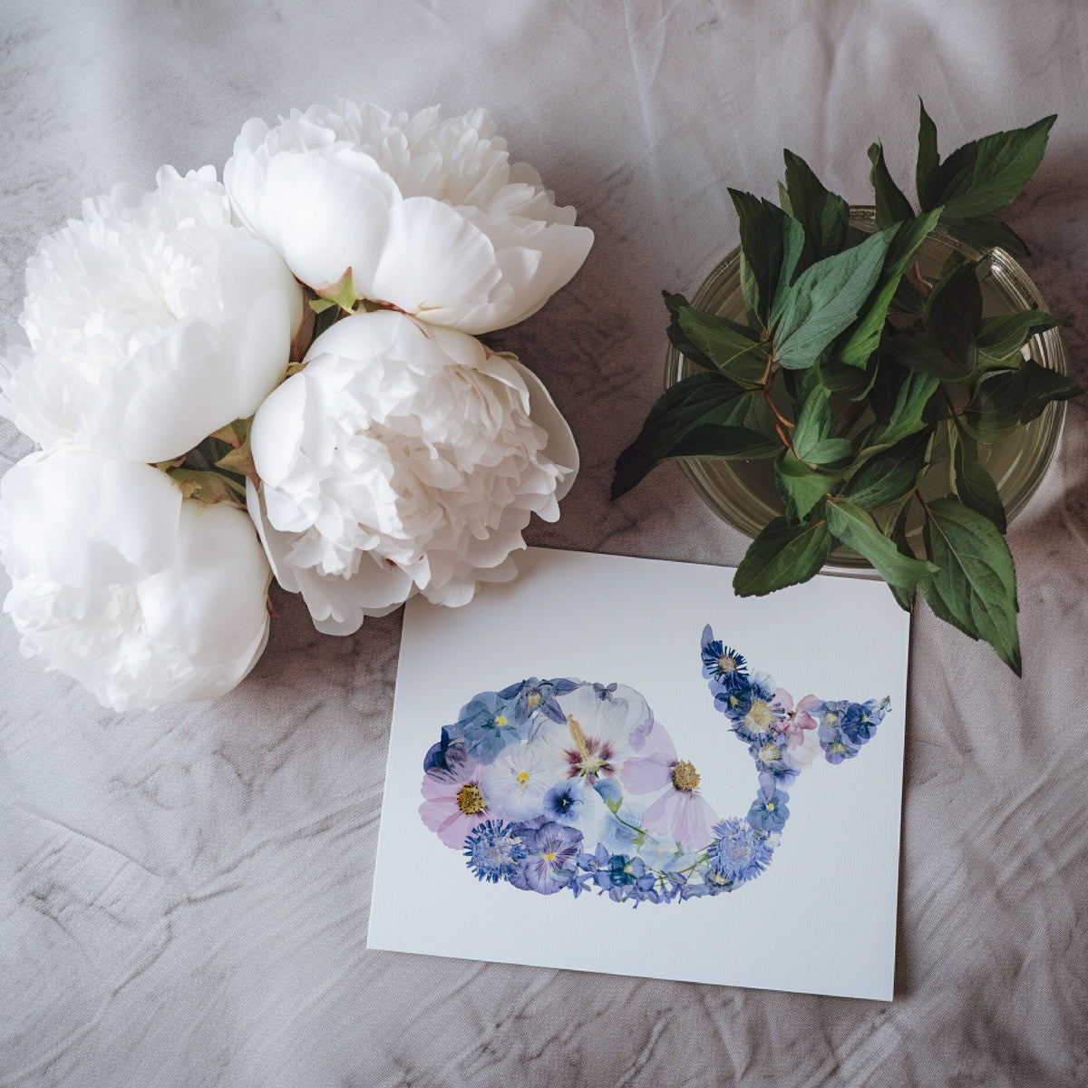 Whale Greeting Card