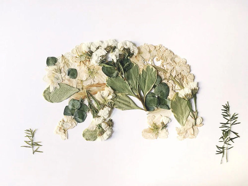 Pressed bouquet arranged in the shape of a bear