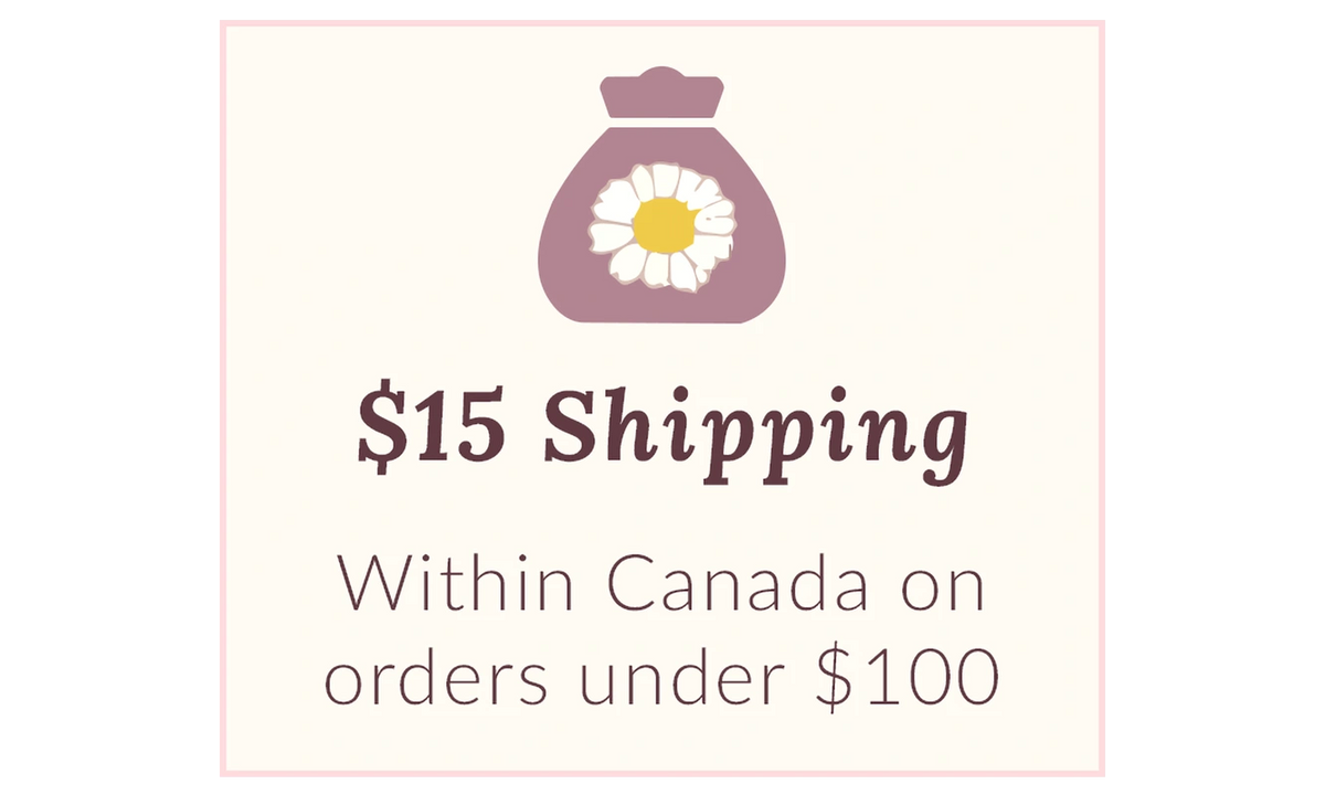 A promotional graphic with a pink border on a white background, featuring a purple money bag icon with a white flower and the text '$15 Shipping Within Canada on orders under $100'.