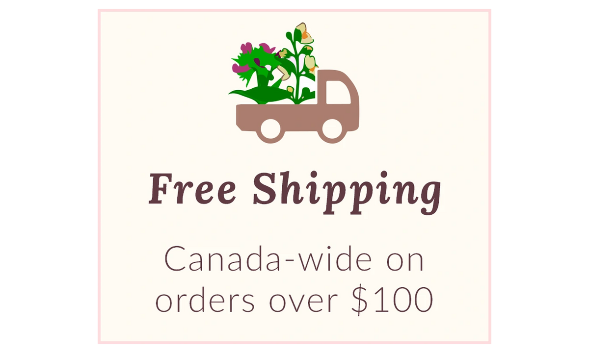 Promotional graphic with a cream background, a small illustrated truck carrying flowers, and the text 'Free Shipping' and 'Canada-wide on orders over $100'.