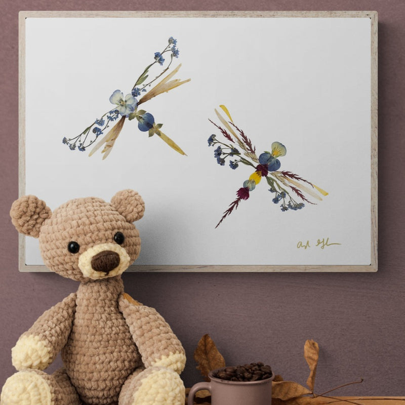 Dragonflies