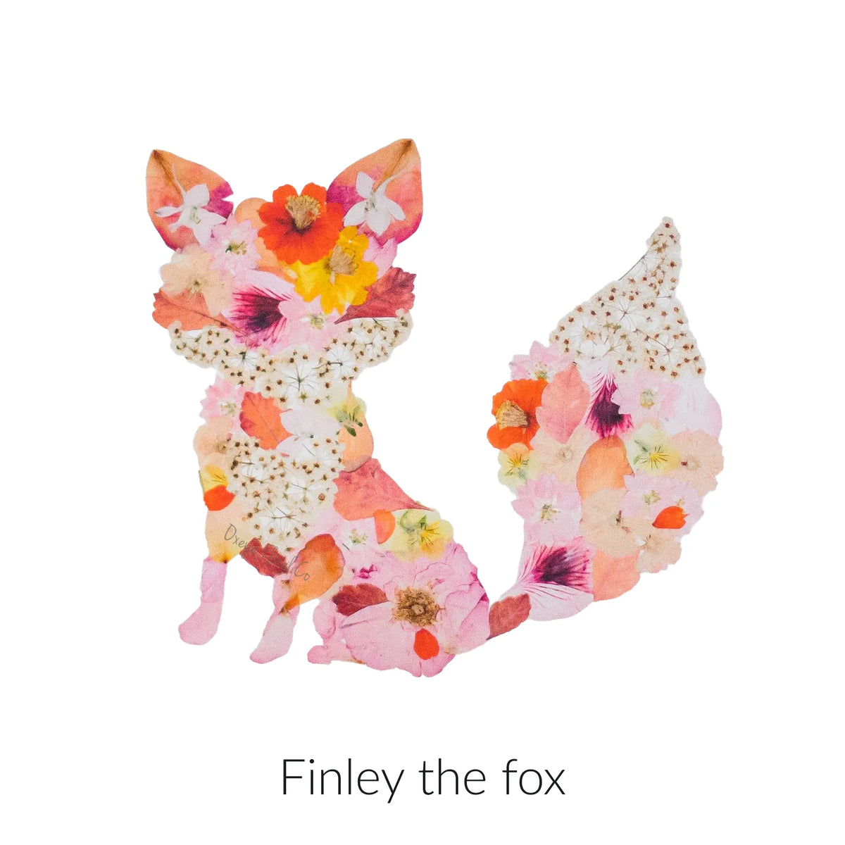 Foxes