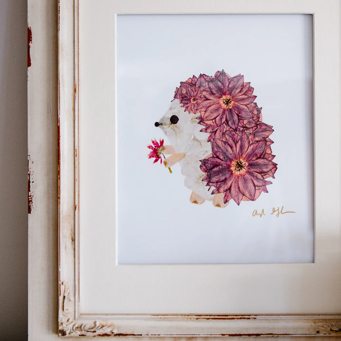 Hedgehogs