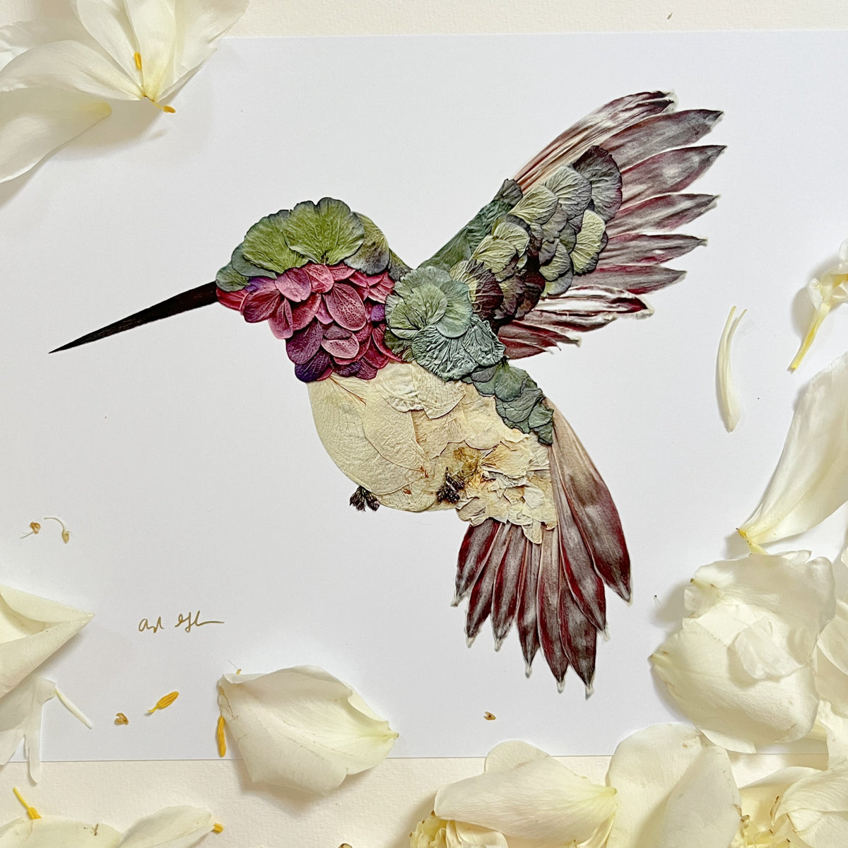 Ruby-Throated Hummingbird