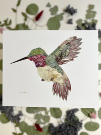 Ruby-Throated Hummingbird