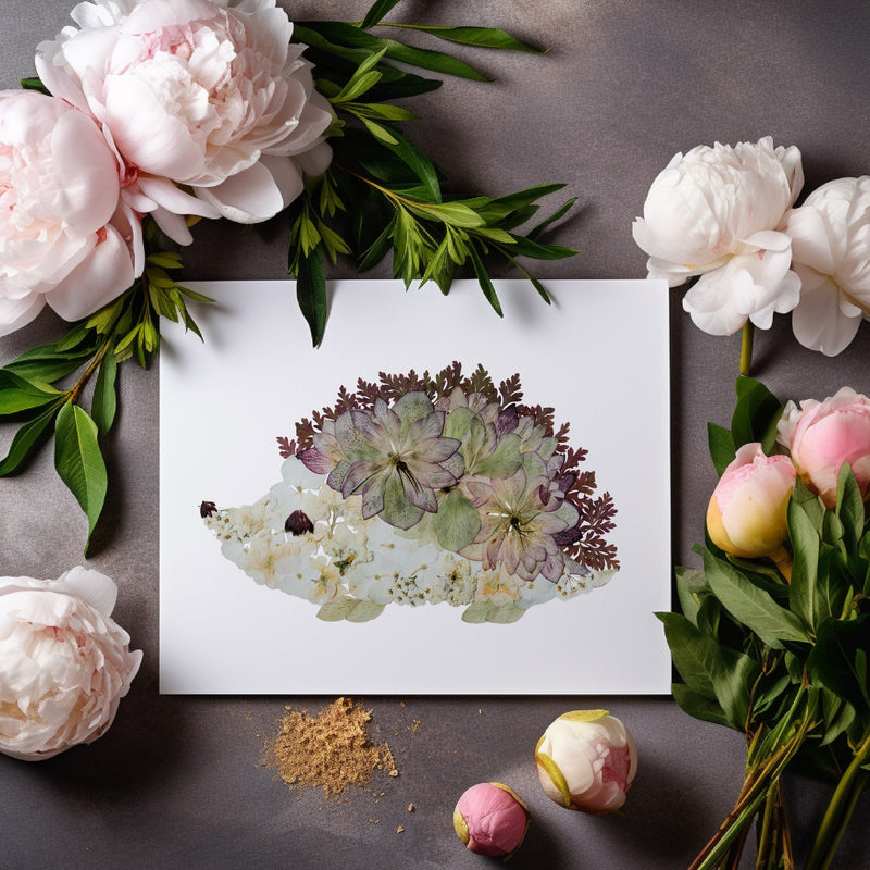 Hedgehog Greeting Card