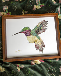 Ruby-Throated Hummingbird