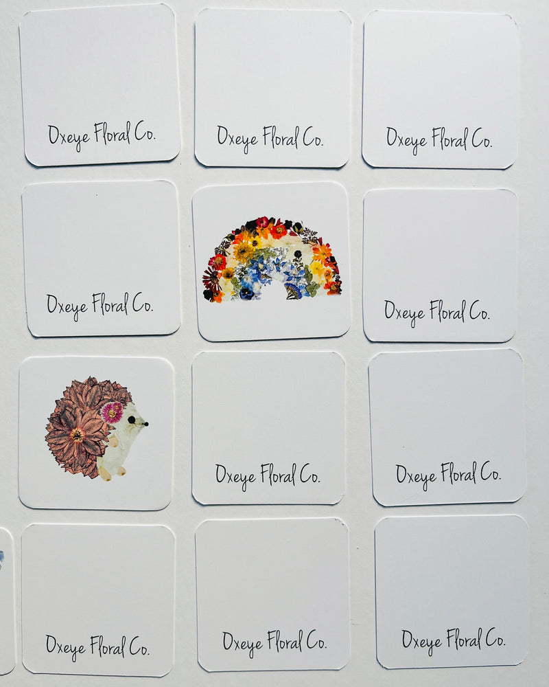 Set of cards with floral rainbow and hedgehog designs