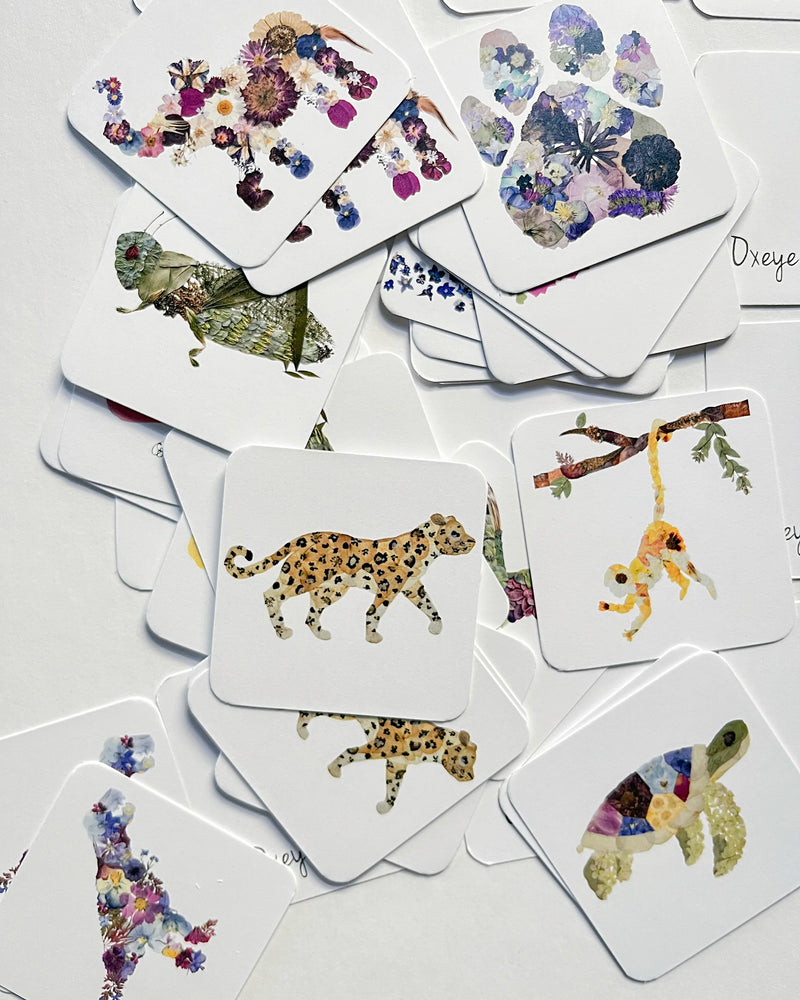 Set of cards with animal and floral designs on a white background
