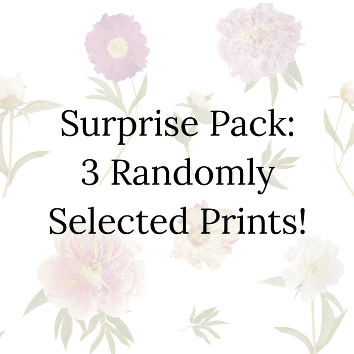 Surprise Pack: 3 Random Prints!