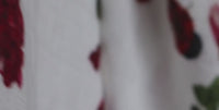 Ladybug Ladder baby swaddle close up