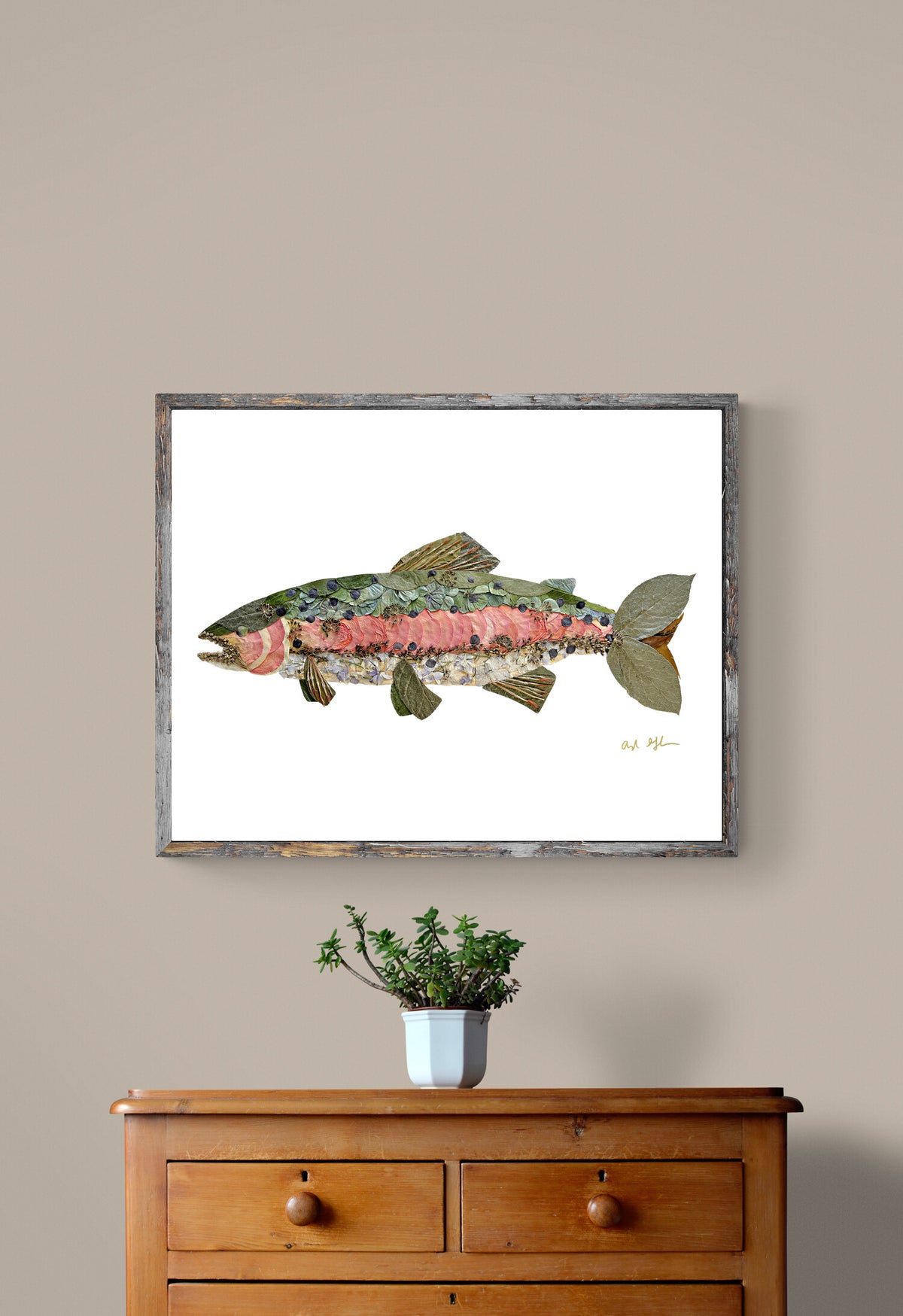 Rainbow Trout
