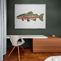 Rainbow Trout