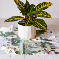 Potted plant with a printed fabric square of silk underneath featuring a pressed flower design