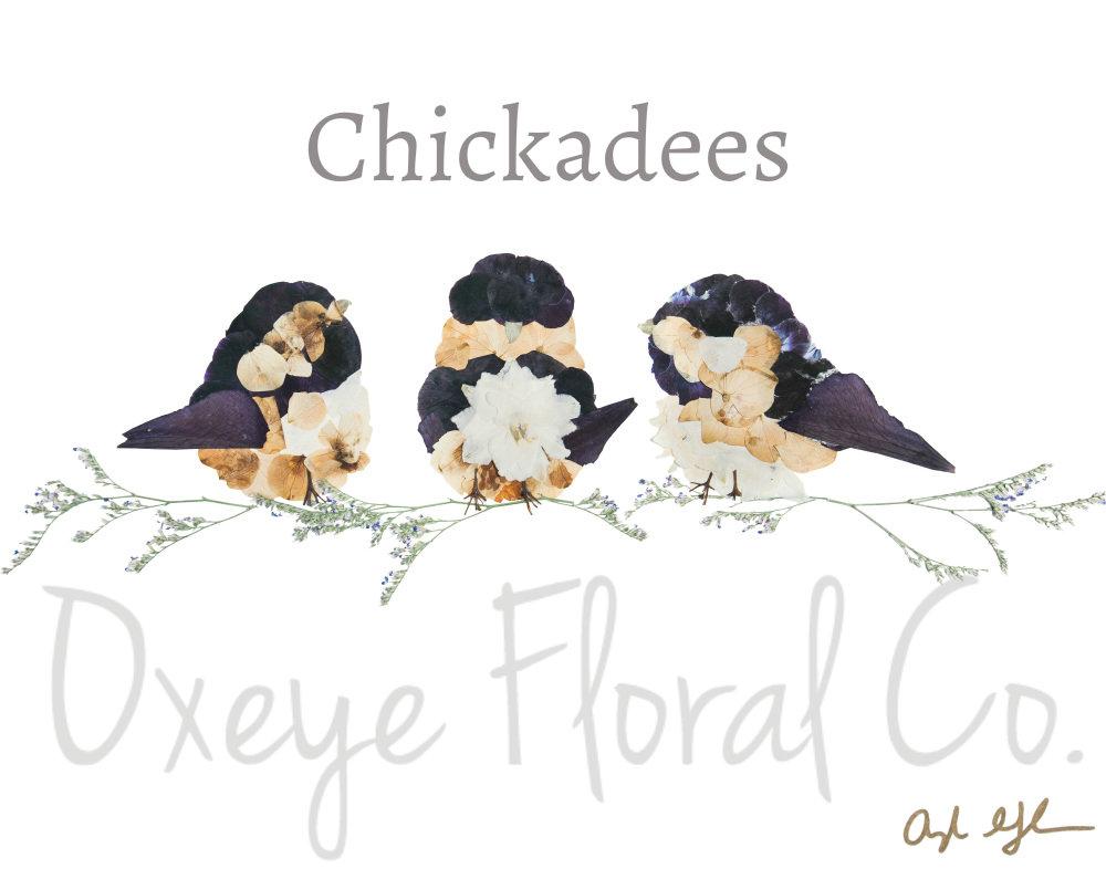 Chickadees